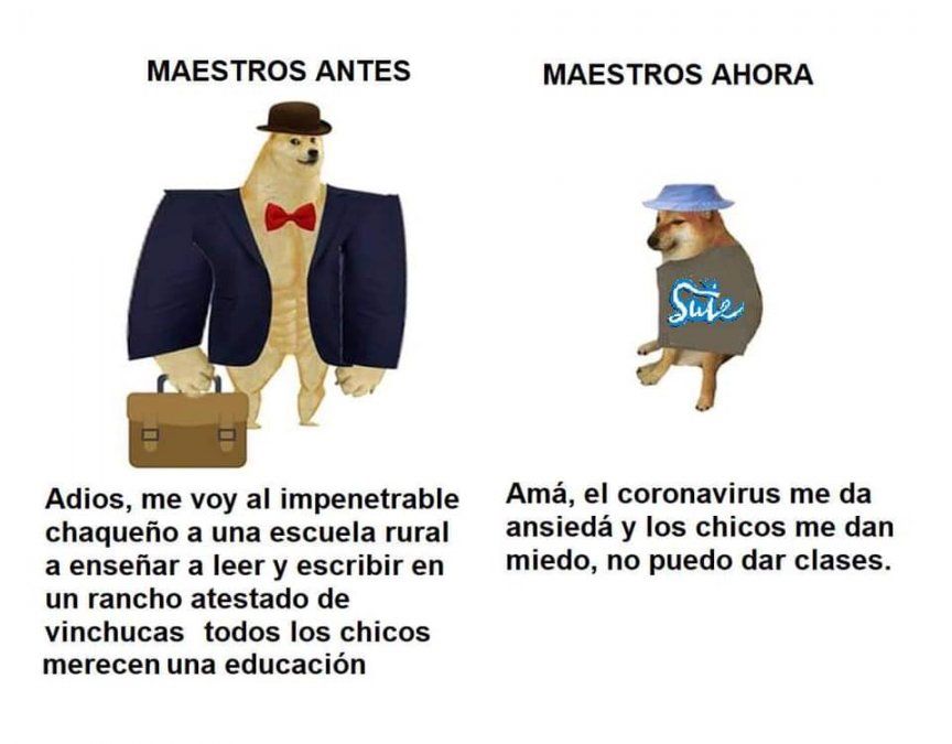 El meme que publicó la diputada Hebe Casado