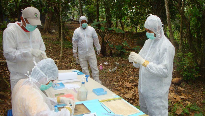 Hantavirus. Salud reforzó el envío de reactivos a laboratorios regionales para agilizar diagnósticos y evitar la saturación de terapias intensivas.
