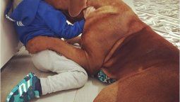 Amor del bueno: Hulk y Thiago en una foto que enamora