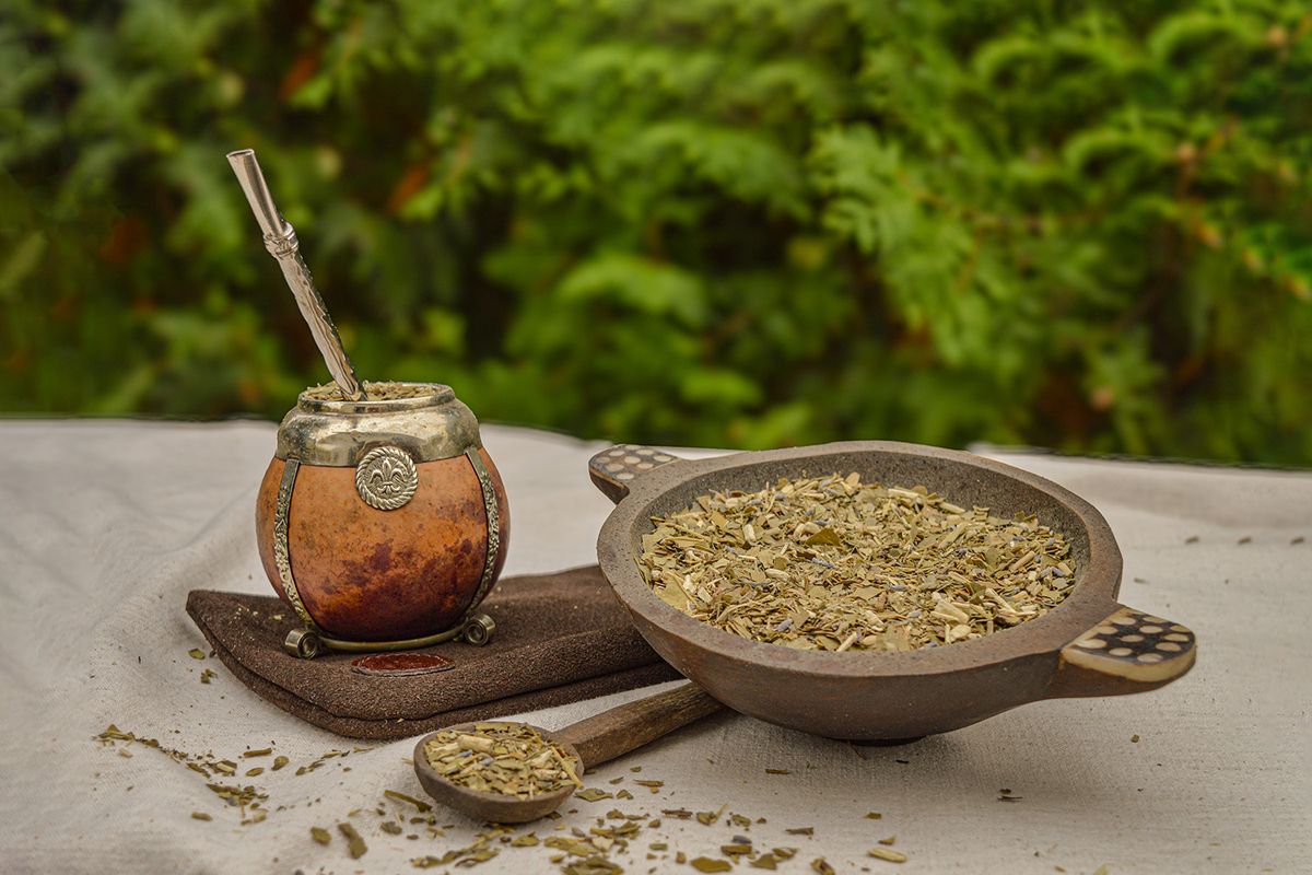 Yerba mate en las plantas: para qué se cree que sirve y por qué no recomiendan esta práctica Yerba mate en las plantas: para qué se cree que sirve y por qué no recomiendan esta práctica