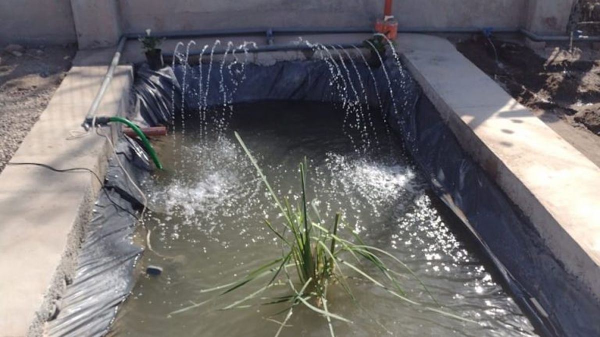Saneamiento de agua del Colector Pescara.