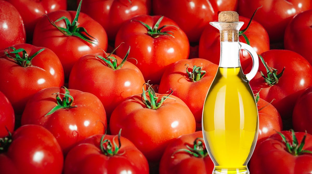 Los tomates y el aceite de oliva, son dos alimentos que combinados, permiten una mejor absorción de sus nutrientes. Los tomates y el aceite de oliva, son dos alimentos que combinados, permiten una mejor absorción de sus nutrientes. 