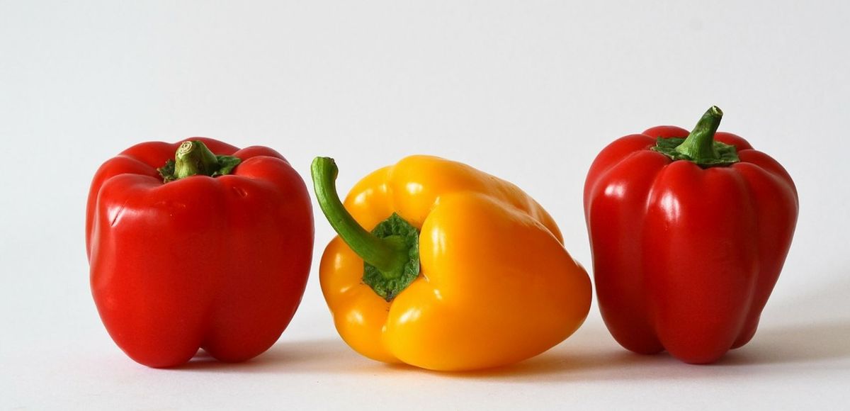 Beneficios y propiedades de comer pimientos morrones Beneficios y propiedades de comer pimientos morrones