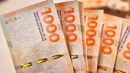 ANSES y Milei confirmaron si habrá aguinaldo para AUH, AUE y SUAF en junio 2024