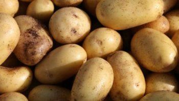 El misterio de las agujas escondidas en las papas de Canadá