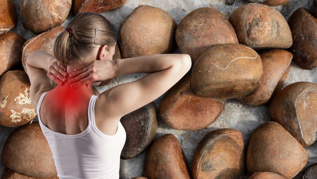 Andiroba, el secreto del Amazonas para aliviar las tensiones acumuladas en el cuerpo