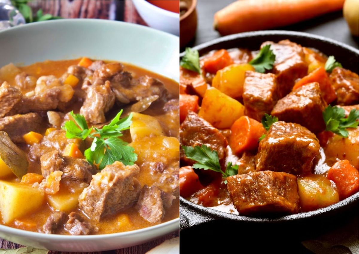 Principales diferencias y similitudes&nbsp;