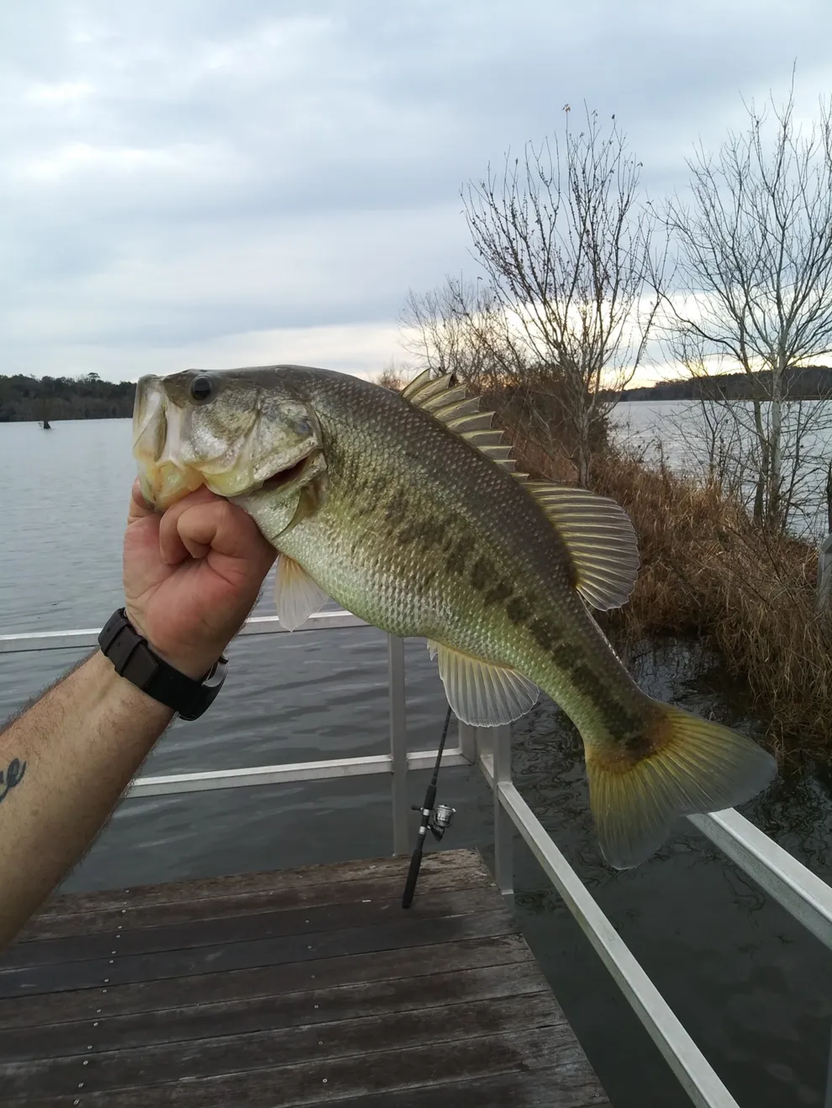 La pesca es una de las actividades más elegidas por quienes visitan este lago de Florida. La pesca es una de las actividades más elegidas por quienes visitan este lago de Florida.