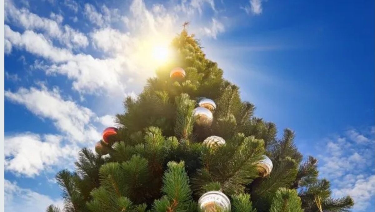 Pronóstico definitivo de Navidad: llegan precipitaciones y temperaturas elevadas