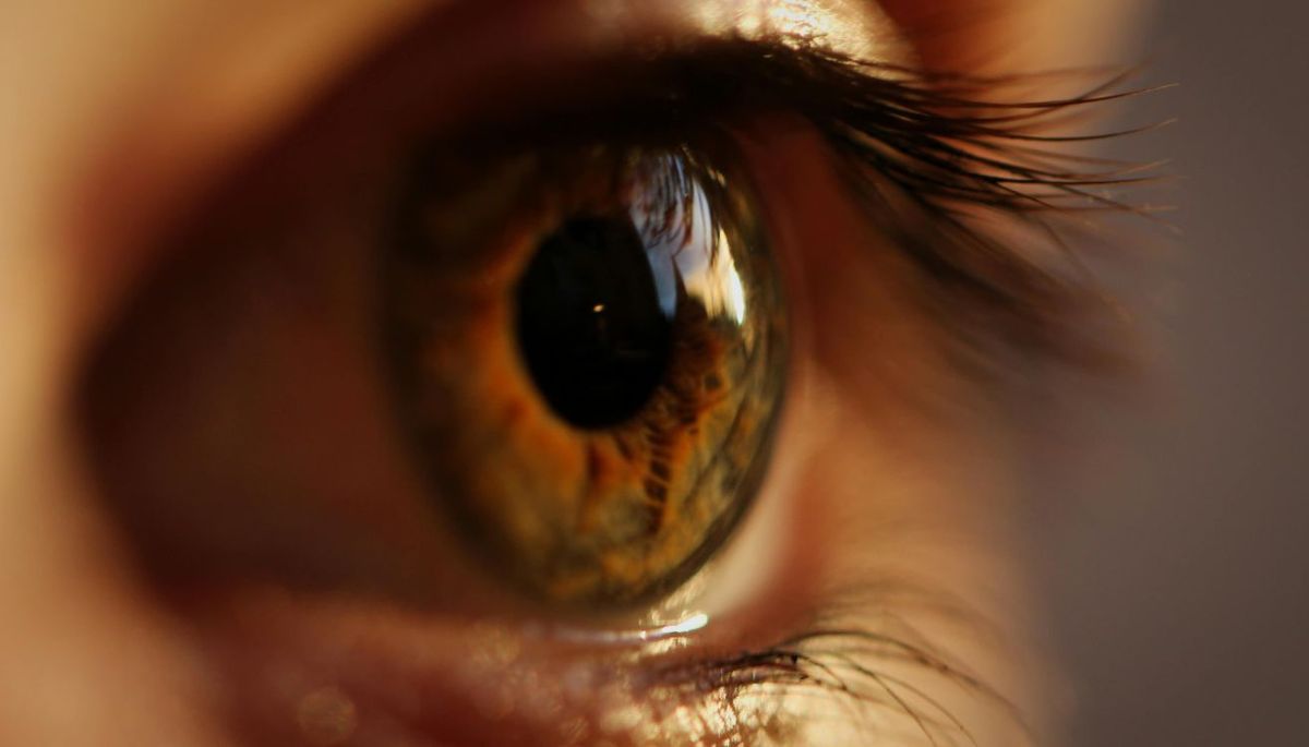 Descubre por qué las mujeres distinguen mejor los colores. Imagen: Pixabay Descubre por qué las mujeres distinguen mejor los colores. Imagen: Pixabay