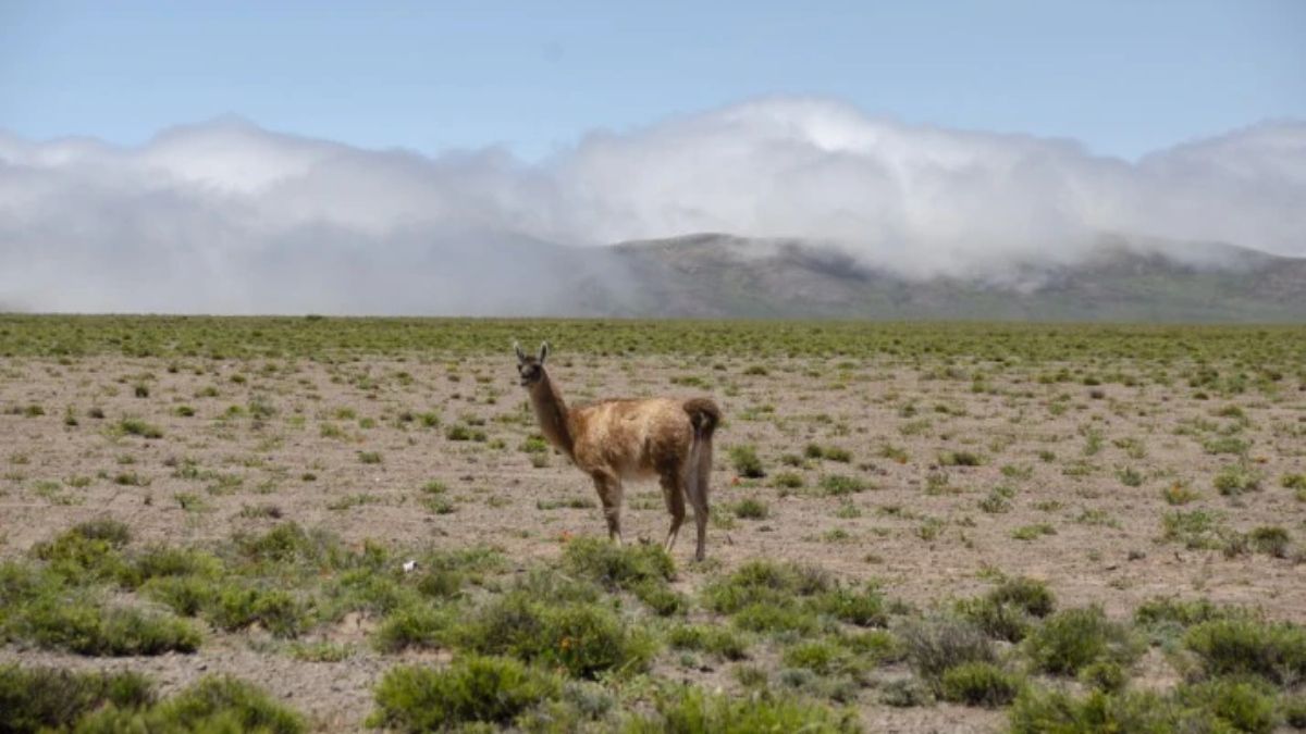 Foto: argentina.gob.ar Foto: argentina.gob.ar