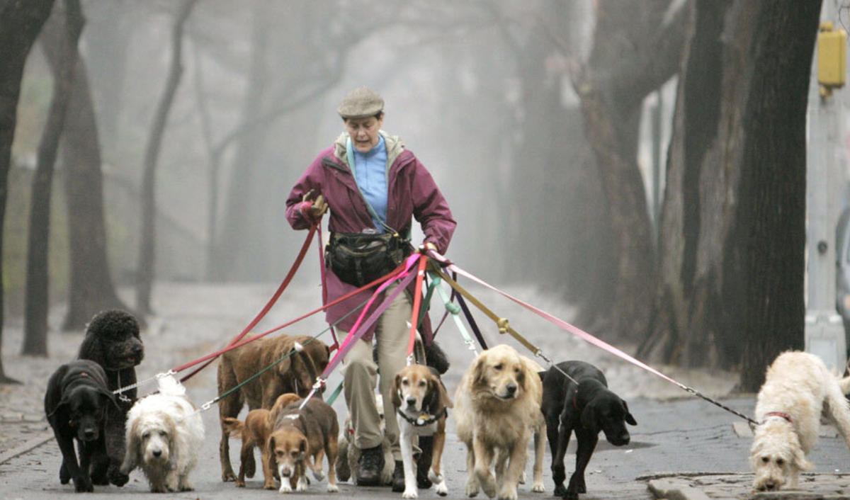 El empleo secundario que puede darte miles de dólares al año en los Estados Unidos El empleo secundario que puede darte miles de dólares al año en los Estados Unidos