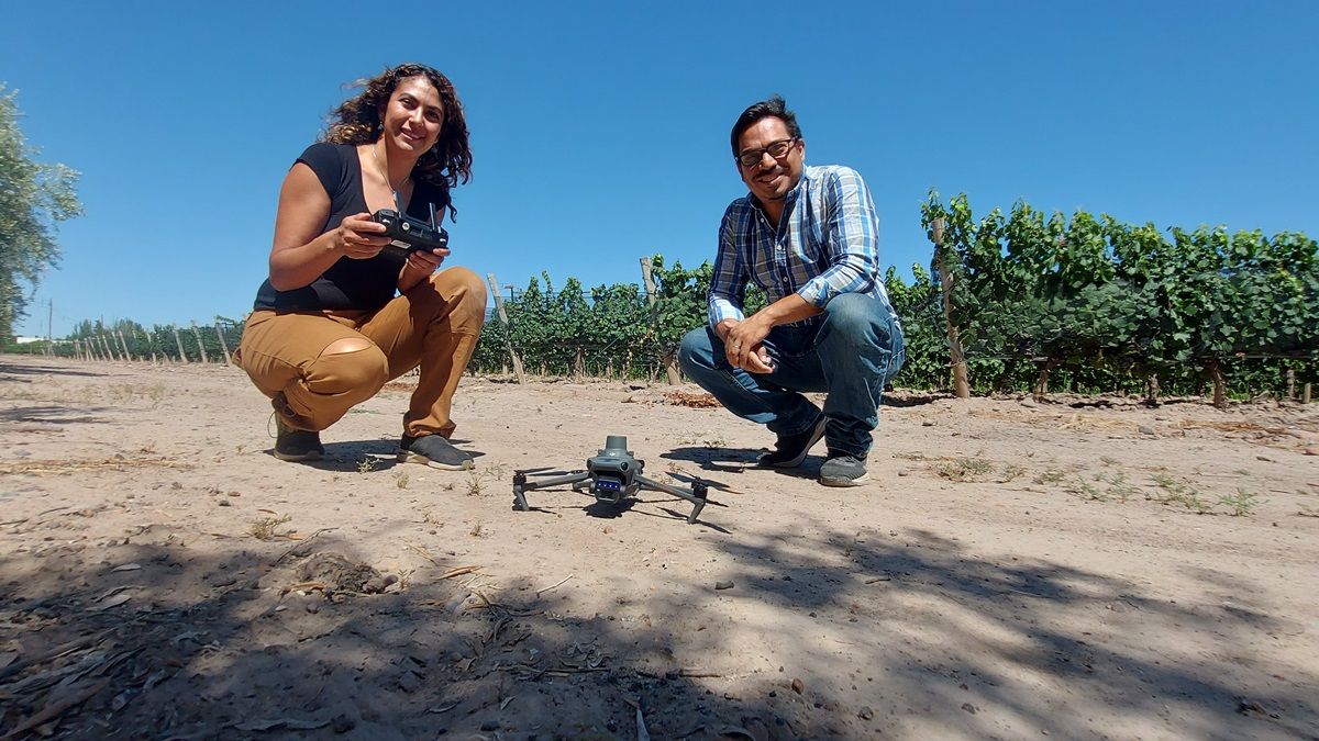 Una pareja analiza imágenes de drones de cultivos para mejorar la producción y evitar plagas.
