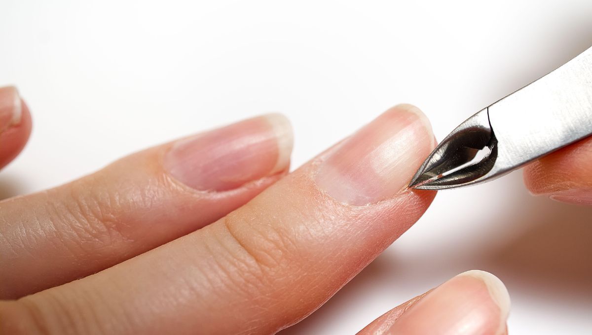 Paso a paso para hidratarse las cutículas y conseguir una manicura prolija