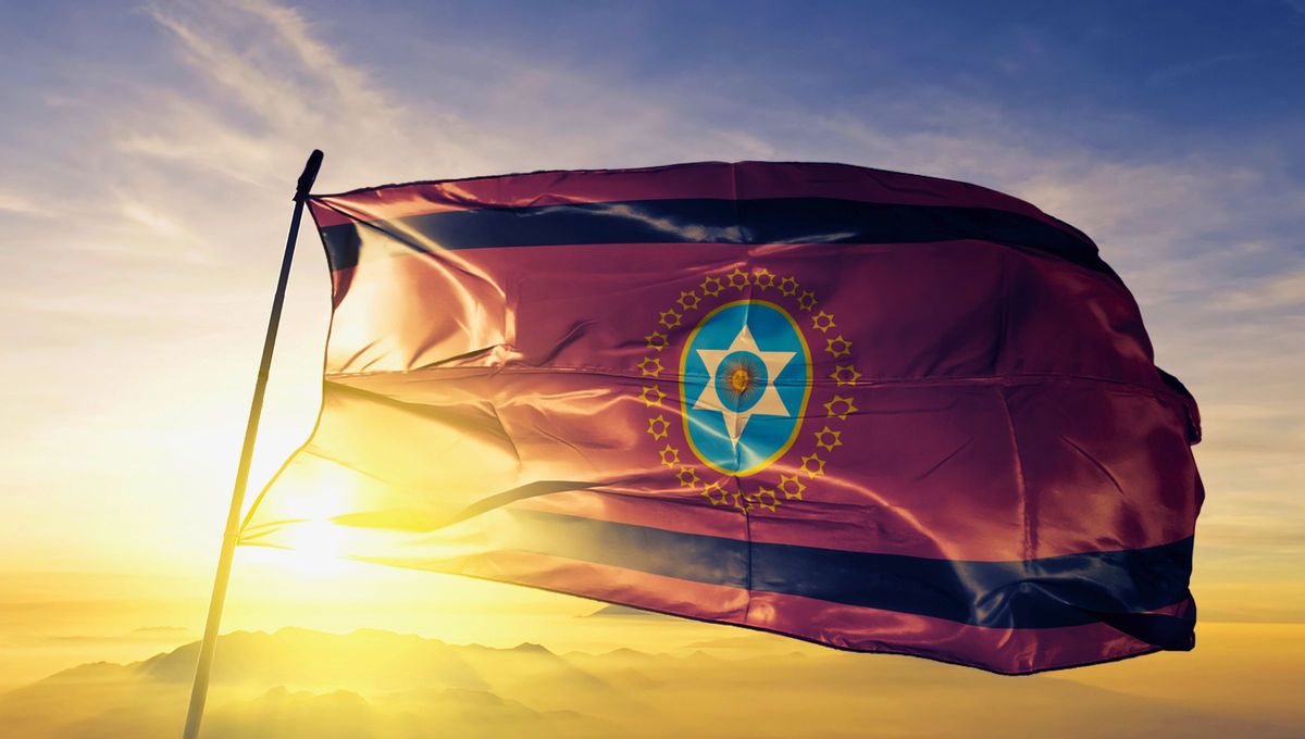 Aqu&iacute; se puede ver los detalles est&eacute;ticos de la bandera de Salta.