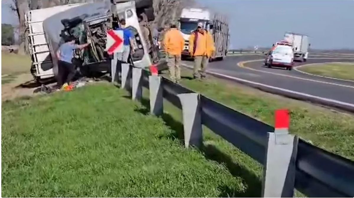 Las faenaron en el acto. Volcó un camión que con vacas y las faenaron en la ruta. Las faenaron en el acto. Volcó un camión que con vacas y las faenaron en la ruta.
