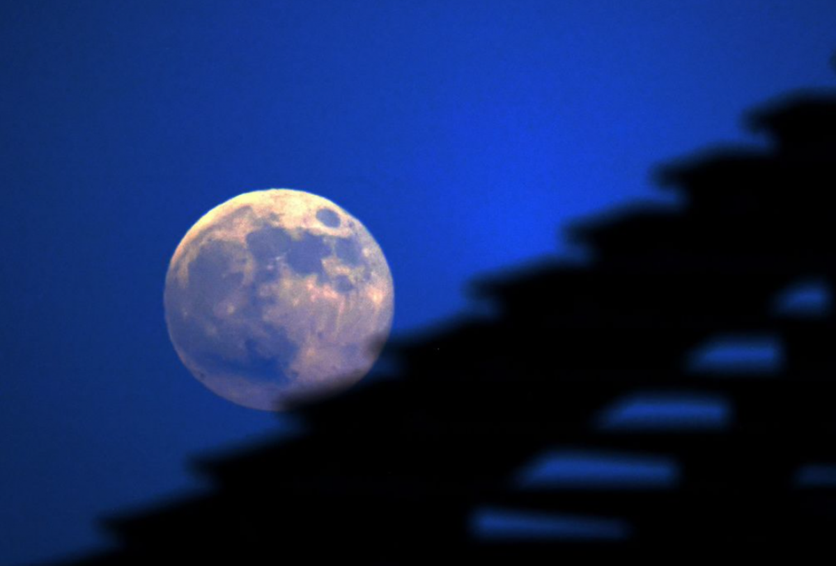 Cuál es la mejor hora para observar la Luna del Castor en el cielo nocturno Cuál es la mejor hora para observar la Luna del Castor en el cielo nocturno