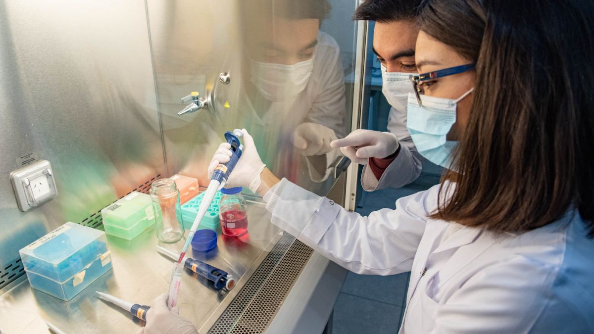 UNCuyo: logran revolucionario avance en biología regenerativa