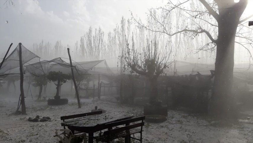 La imágen muestra lo devastadora que fue la tormenta de granizo que castigó a San Rafael y otras zonas productivas de la provincia