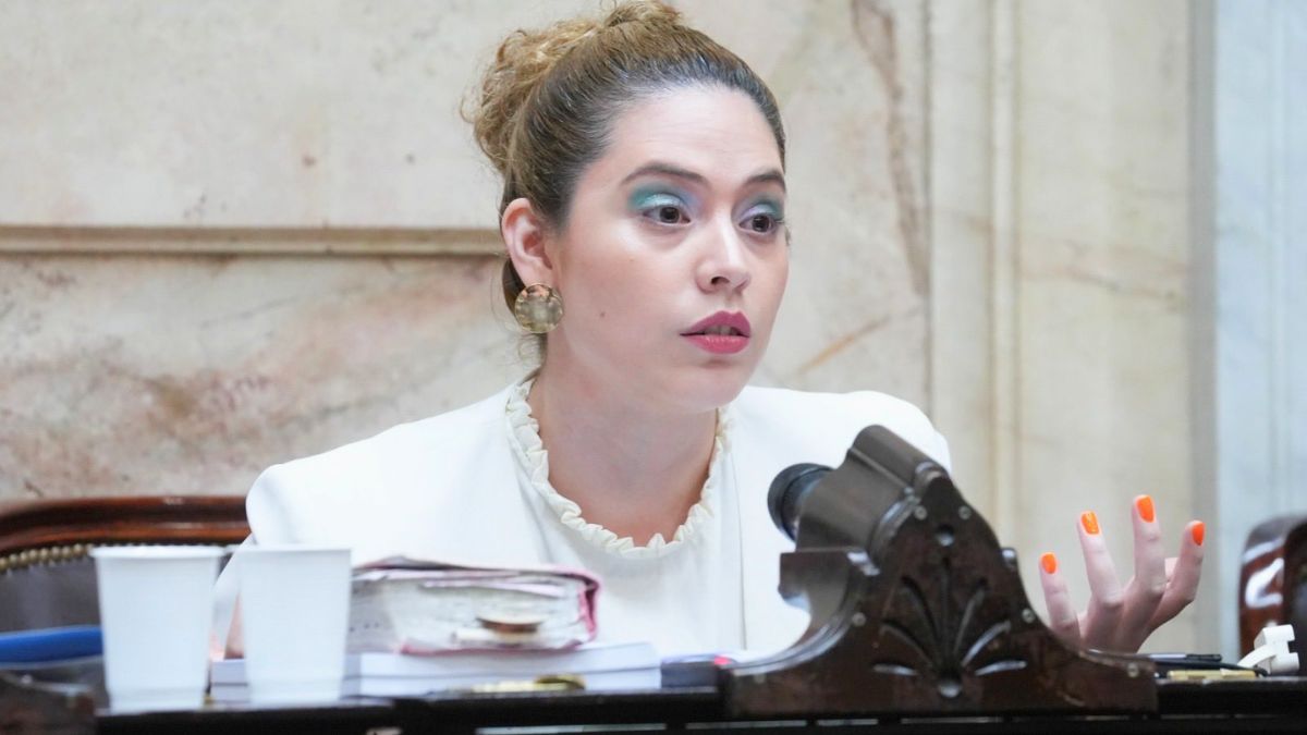 Lourdes Arrieta durante la sesión por reforma laboral en Diputados. Lourdes Arrieta durante la sesión por reforma laboral en Diputados.