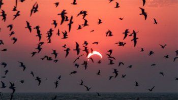 Las mejores fotos del imponente anillo de fuego del último eclipse solar de la década