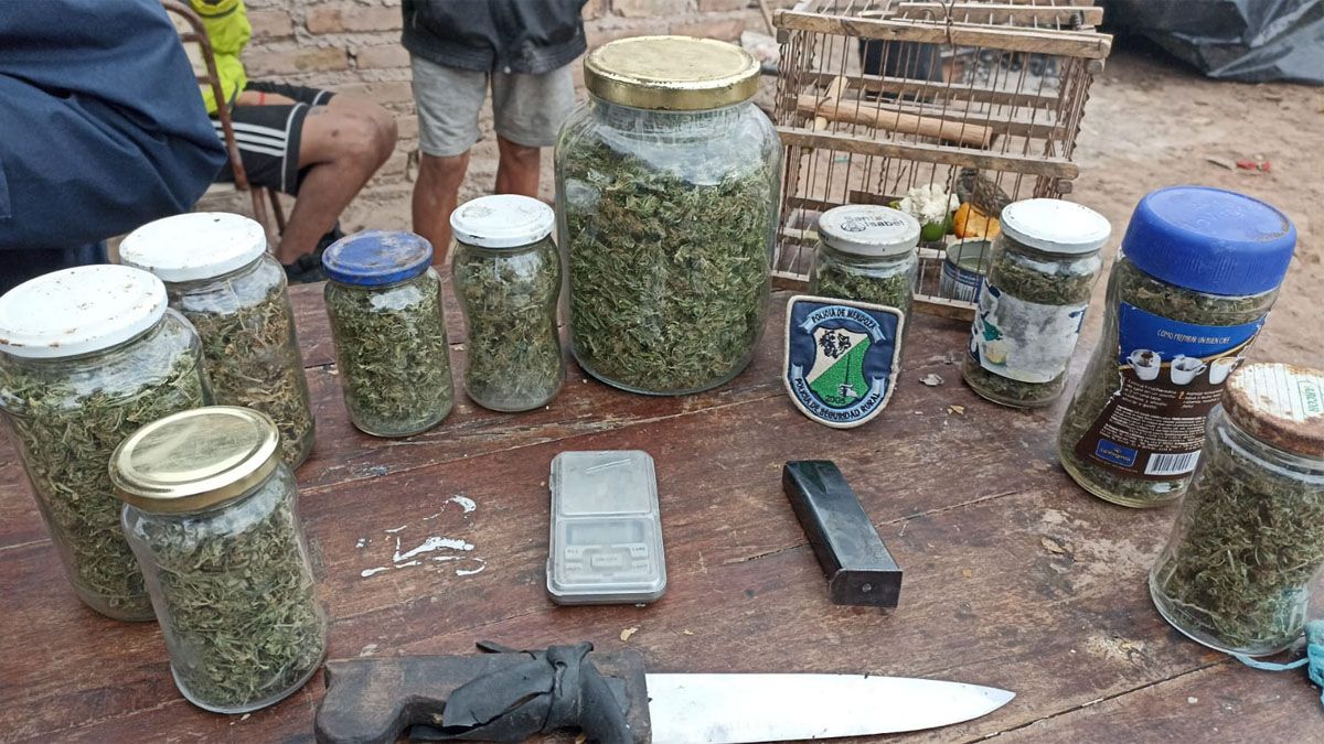También secuestraron plantas de marihuana y frascos con cogollos.