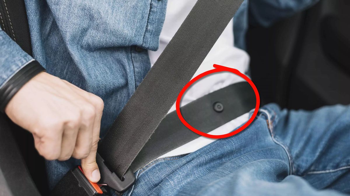 Por qué el cinturón de seguridad del auto tiene un botón y qué significa