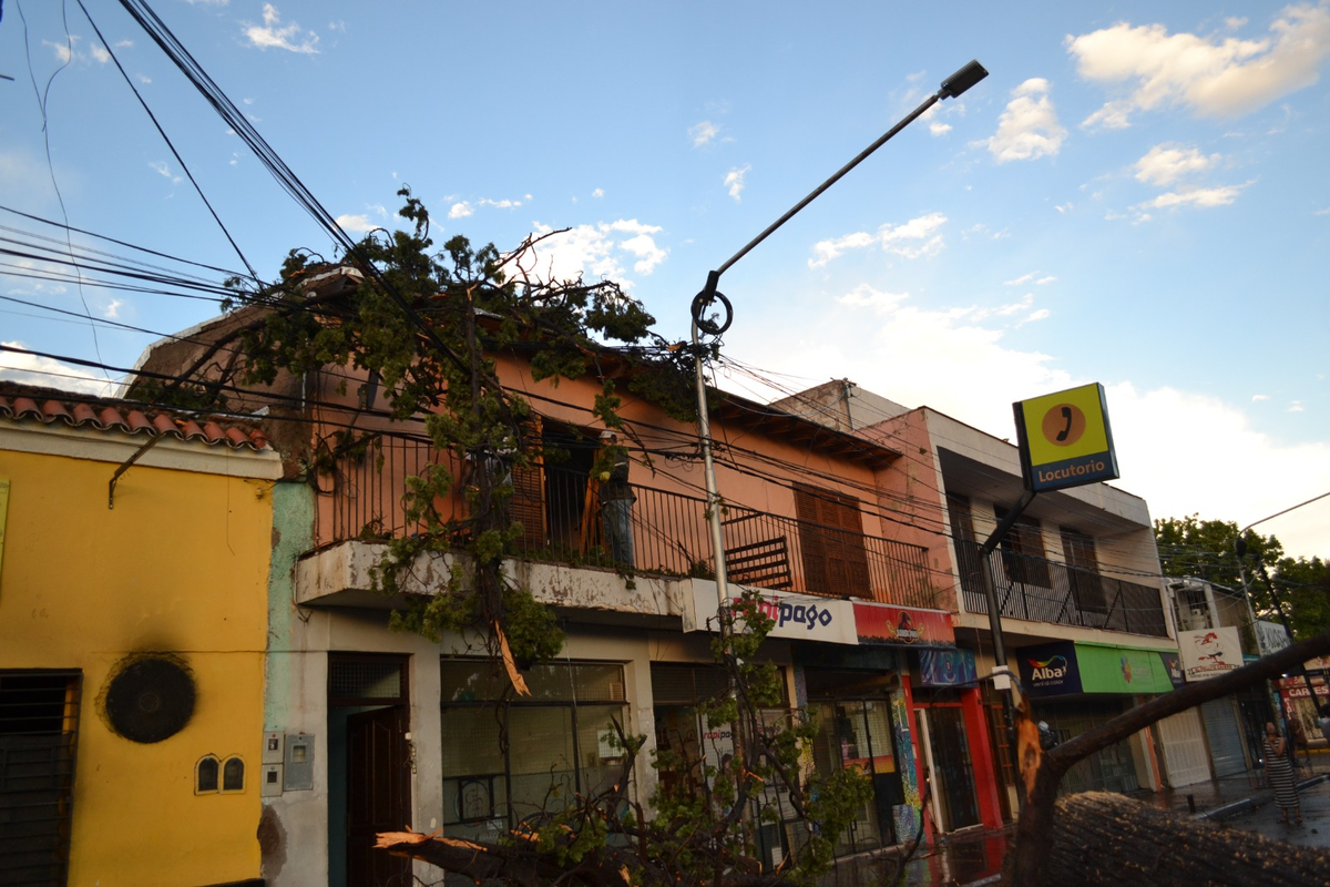 Árboles caídos sobre los techos en San Martín.