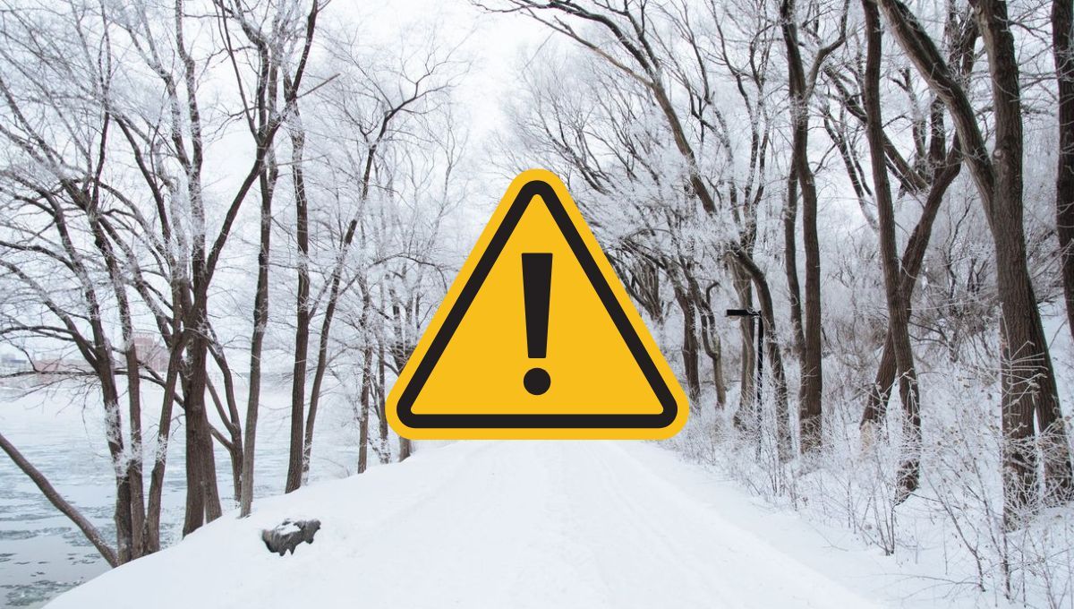 Evita salir durante una alerta