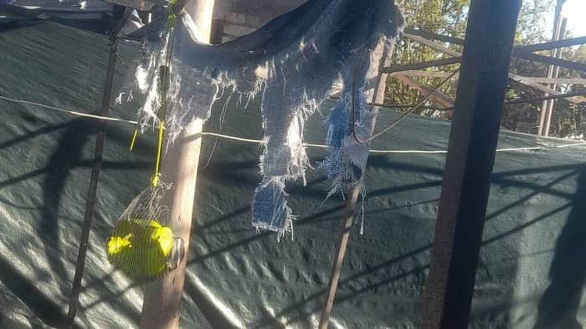 Daños totales en un merendero maipucino por la granizada. Gentileza.