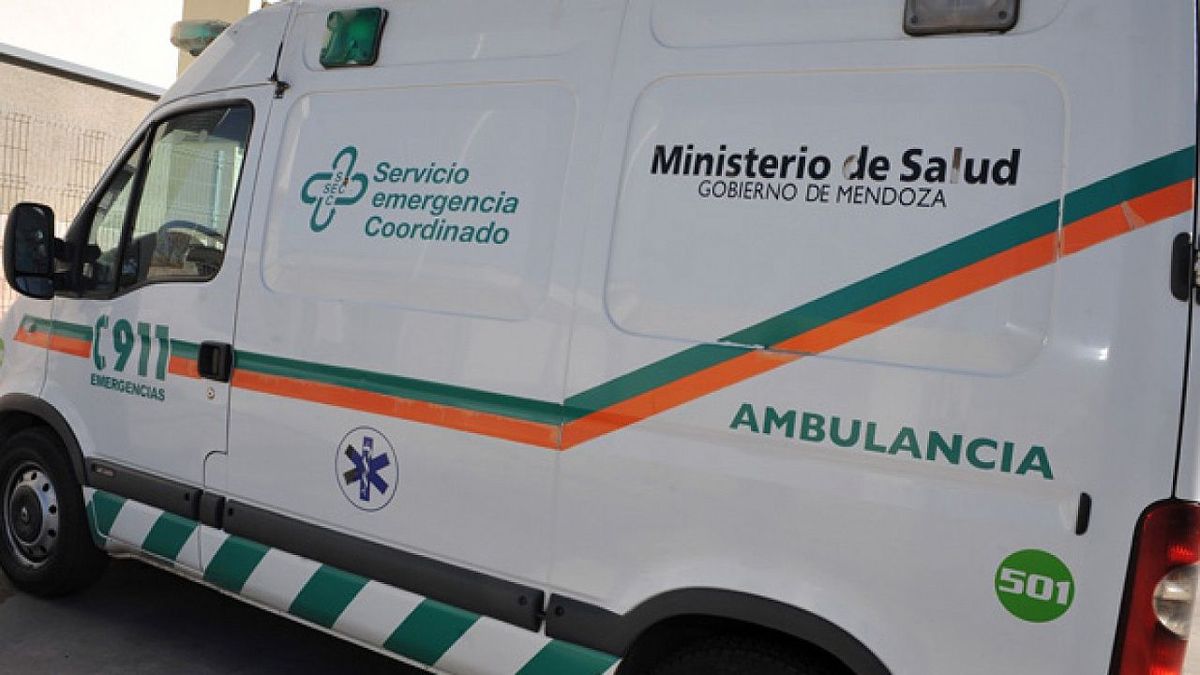 Accidente en Las Heras: un obrero murió en el barrio Santa Teresita.