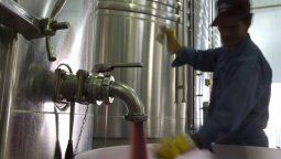Fuerte apuesta para aumentar exportaciones de vino a granel
