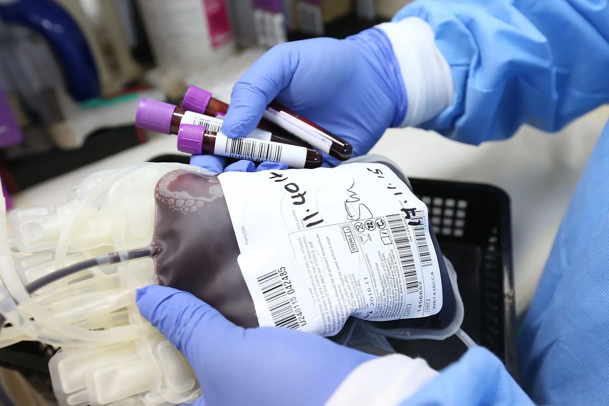 Qué pasa si se mezclan dos tipos de sangre diferentes