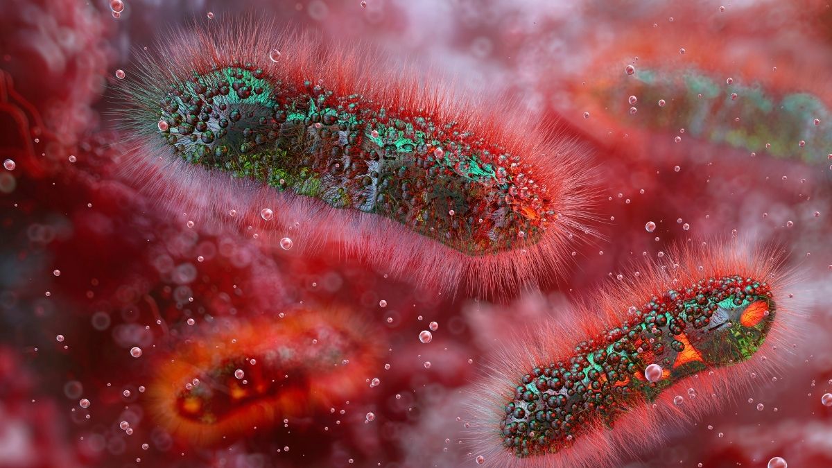Un estudio une al autismo, la anorexia y la hiperactividad mediante un microbio