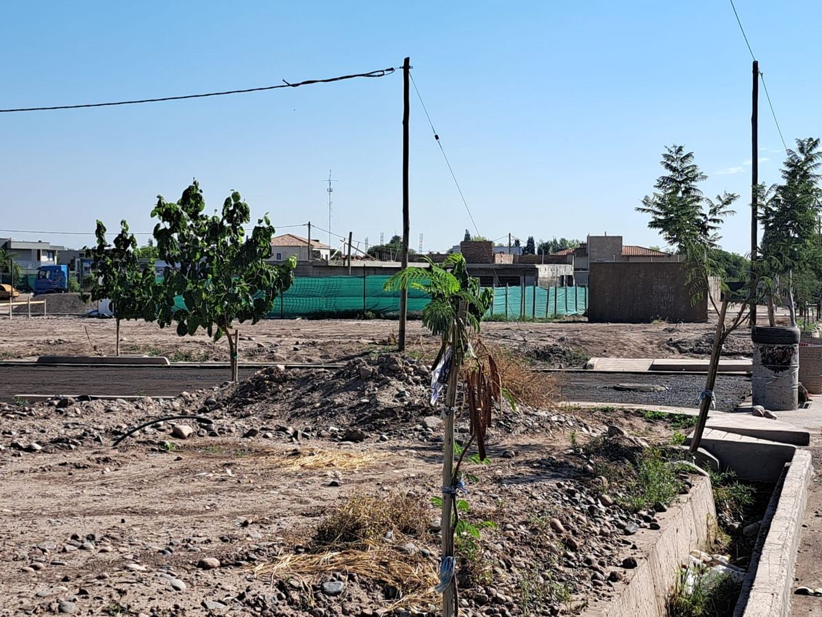 Obra en el loteo de Florentino Paco, en Guaymallén. Obra en el loteo de Florentino Paco, en Guaymallén.