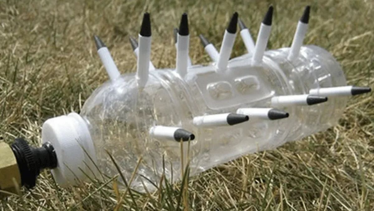 Regador con lapiceras. Regador con lapiceras. 