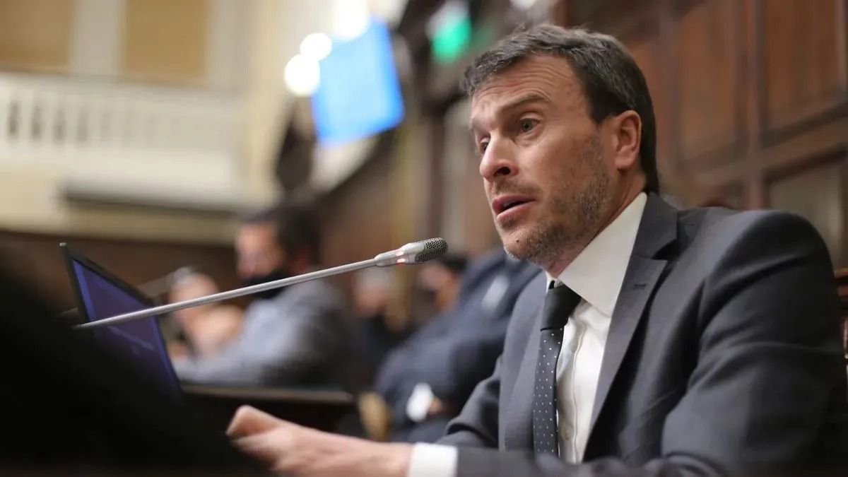 Nieri, una de las voces críticas frente a la propuesta.