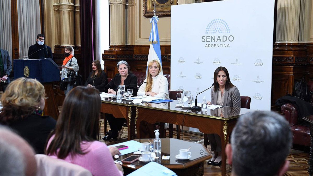 Anabel Fernández Sagasti presidió la reunión de la Comisión de Acuerdos en el senado de la Nación.