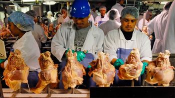 De remate: adiós a una histórica cooperativa avícola del Este mendocino De remate: adiós a una histórica cooperativa avícola del Este mendocino