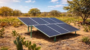 Científicos de Finlandia descubren que la cáscara de cebolla puede hacer que los paneles solares sean más resistentes Científicos de Finlandia descubren que la cáscara de cebolla puede hacer que los paneles solares sean más resistentes