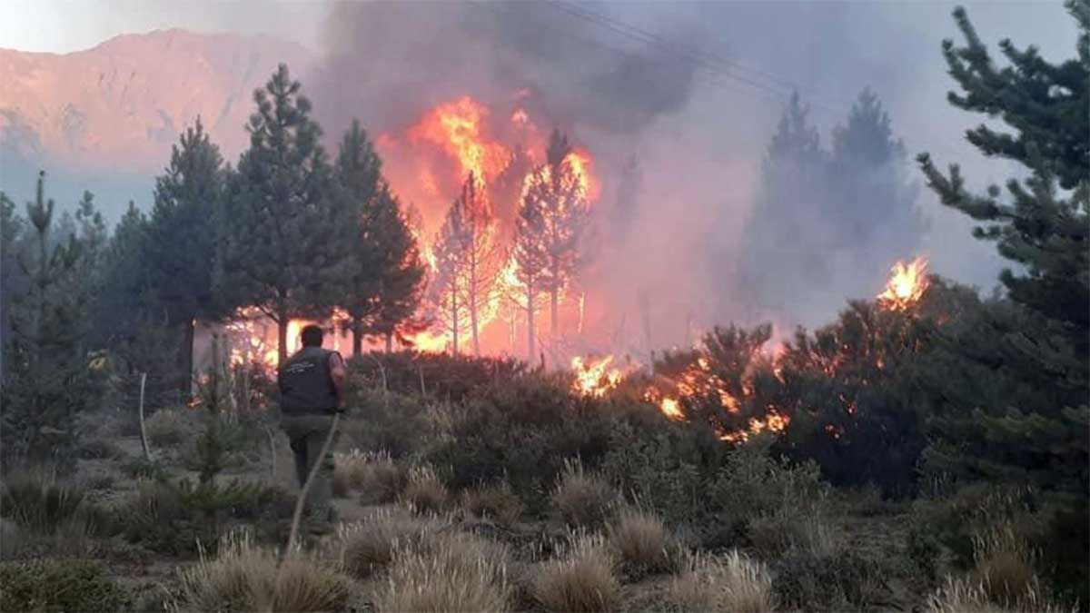 La persistente llovizna llevó algo de alivio a la situación provocada en El Bolsón por un incendio forestal que en cuatro días arrasó más de 10 mil hectáreas, pero no extinguió por completo el fuego.