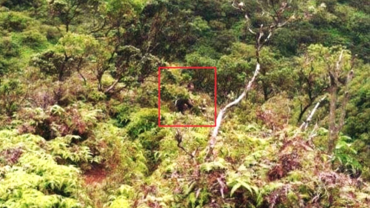 El chico desaparecido en 2015 sigue siendo un misterio. El chico desaparecido en 2015 sigue siendo un misterio.