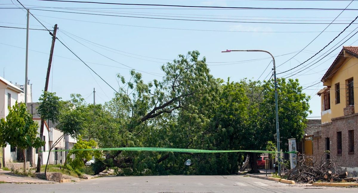 Viento Zonda: Ciudad hizo un relevamiento de los daños en la comuna. Viento Zonda: Ciudad hizo un relevamiento de los daños en la comuna.