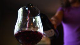 Día del Cabernet Sauvignon: 10 claves para entenderlo