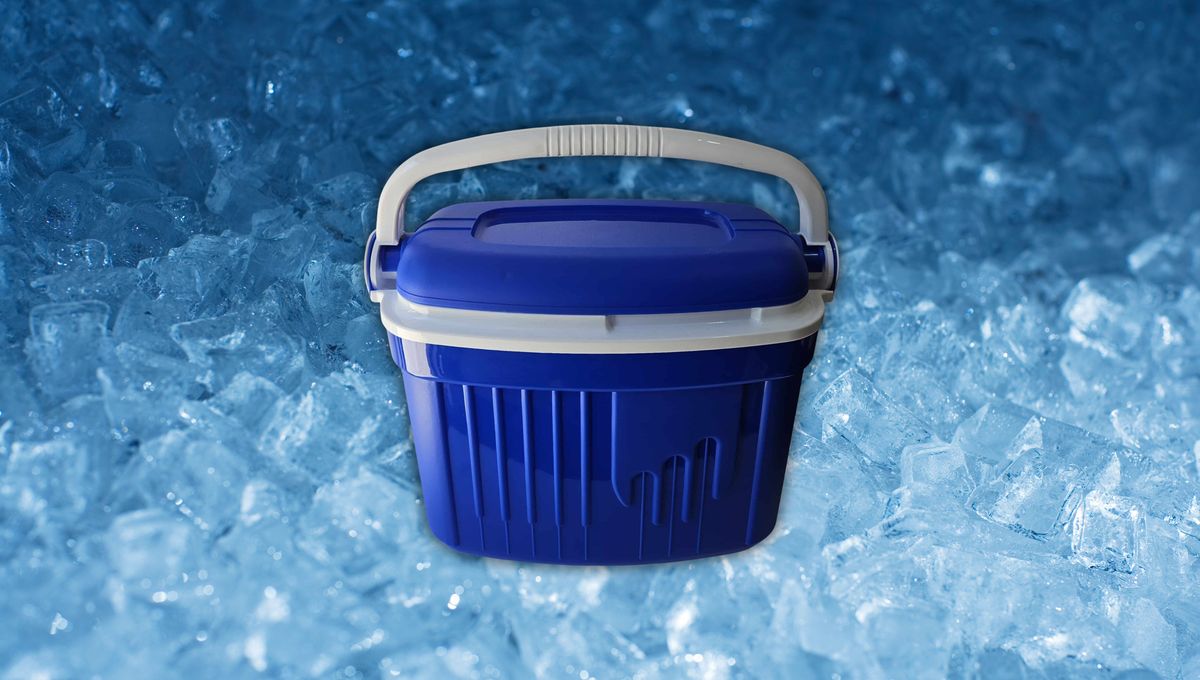 Utiliza bloques de hielo seco para mantener el frío en la heladera portátil. Utiliza bloques de hielo seco para mantener el frío en la heladera portátil. 