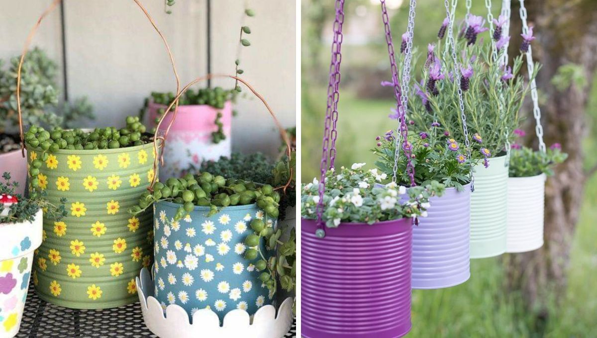 Latas de conserva recicladas. Latas de conserva recicladas.