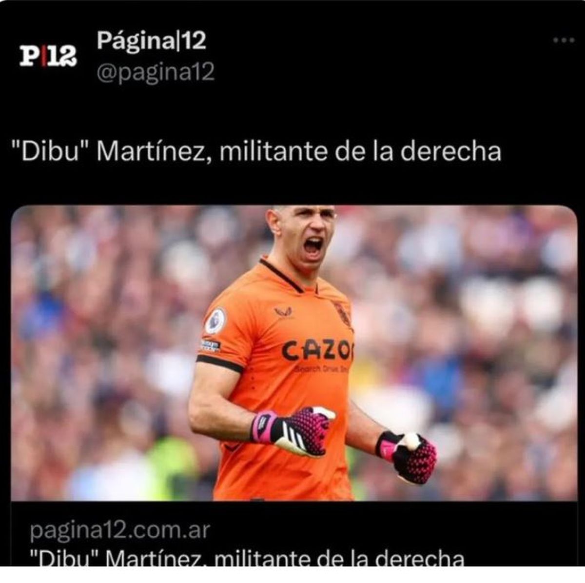 Un columnista de Página 12 acusó al Dibu Martínez de ser de derecha.