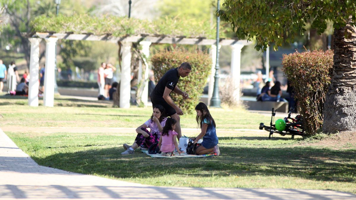 El picnic familiar a la sombrita.