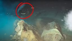 Esta especie vaga puede deslizarse por el agua realizando pocos movimientos y en forma silenciosa