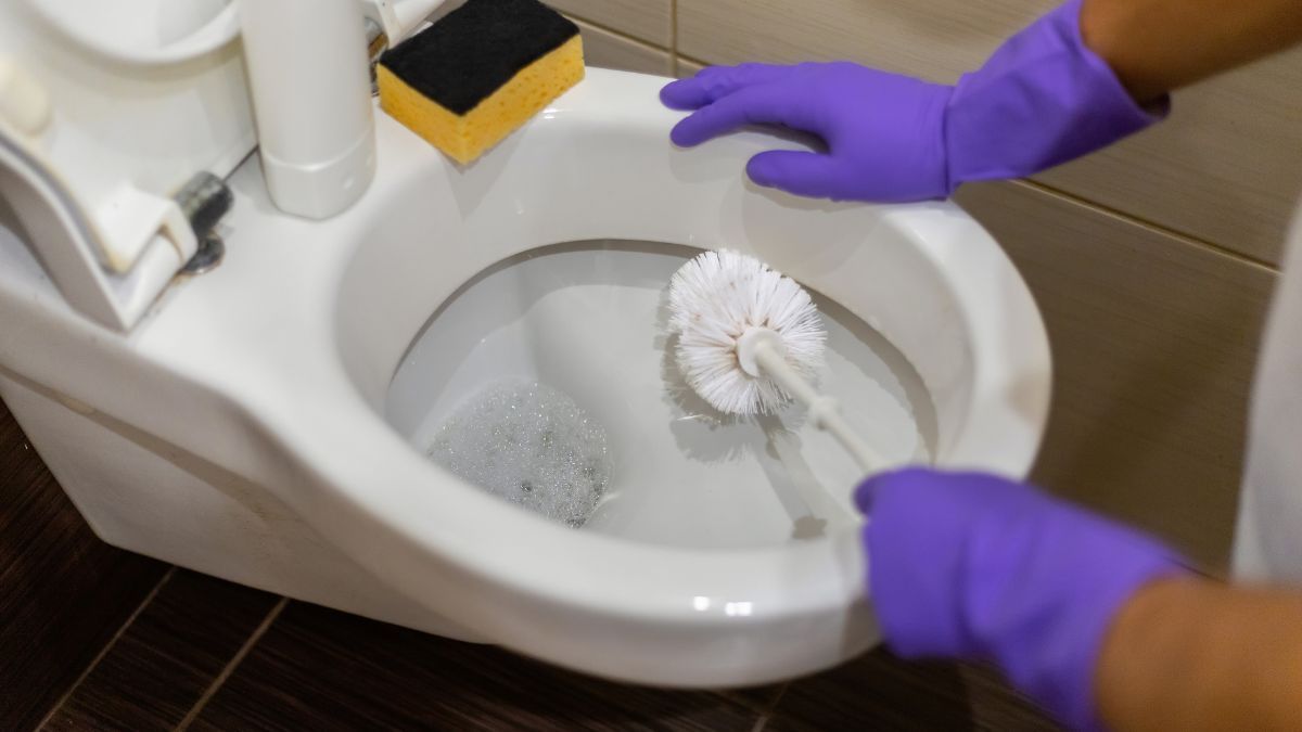 Para mantener impecable el inodoro del baño y quitar la cal, prueba con este sencillo truco casero de limpieza. Para mantener impecable el inodoro del baño y quitar la cal, prueba con este sencillo truco casero de limpieza.